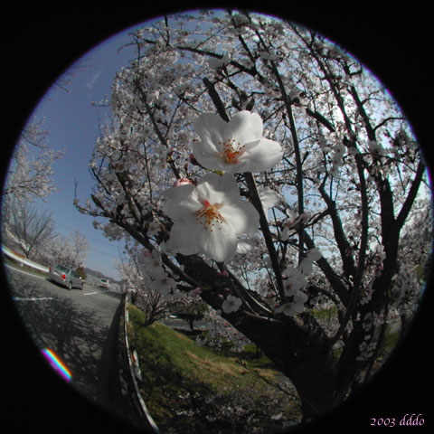 DSCN0365